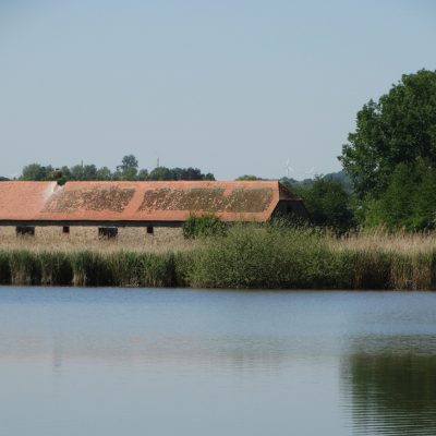 Reinheimer Teich, (c) INFRASTRUKTUR & UMWELT Prof. Böhm und Partner