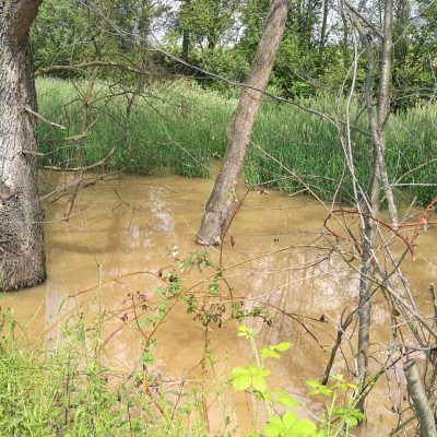 Erhöhter Wasserstand im Landkreis, (c) Helmut Seidl