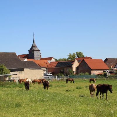 Pferdekoppel in Otzberg Habitzheim, (c) Helmut Seidl