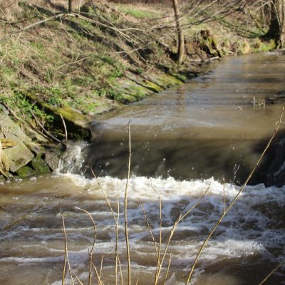 Die Modau in Modautal unterhalb von Ernsthofen,(c) Helmut Seidl