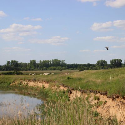 Naturschutzgebiet bei