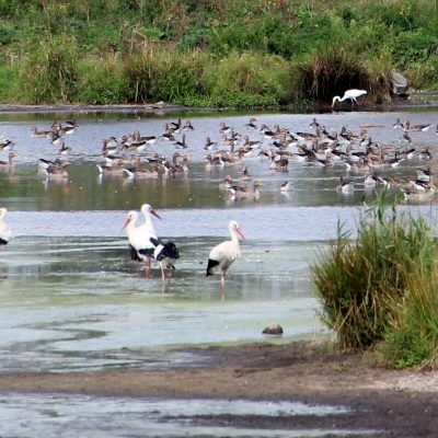 Naturschutzgebiet bei Reinheim, (c) Helmut Seidl